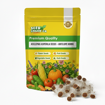 Asclepias Asperula Seeds – Antelope Horns