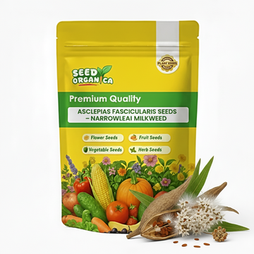 Asclepias Fascicularis Seeds – Narrowleaf Milkweed