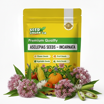 Asclepias Seeds – Incarnata