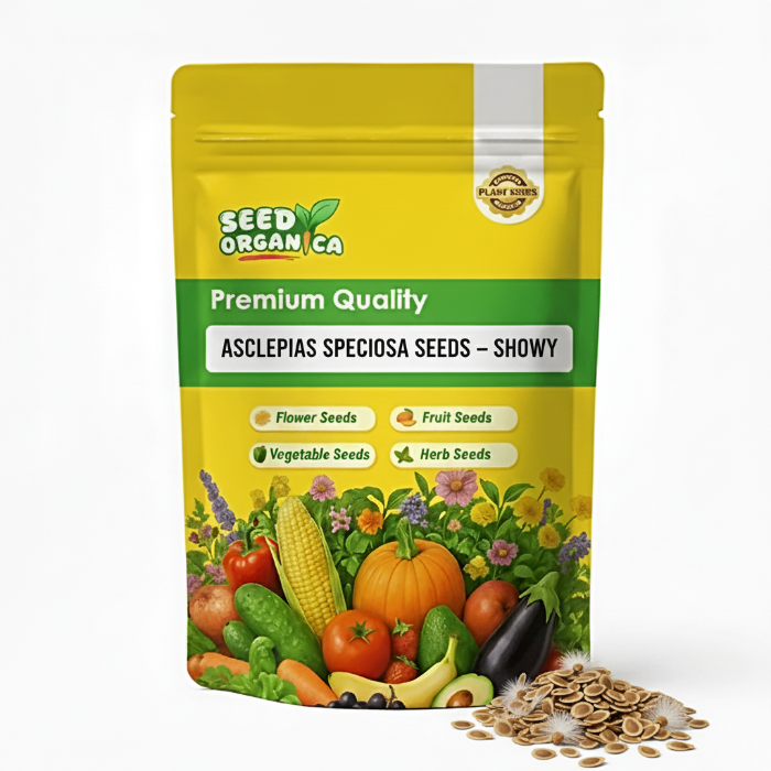 Asclepias Speciosa Seeds – Showy
