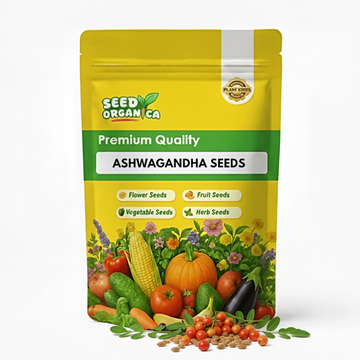 Ashwagandha Seeds