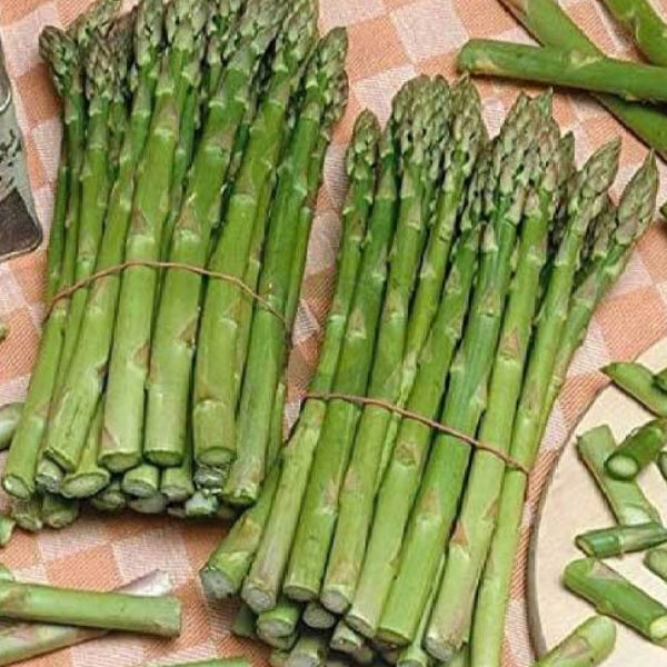 Asparagus Seeds - Green Setose