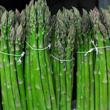 Asparagus Seeds - Mary Washington