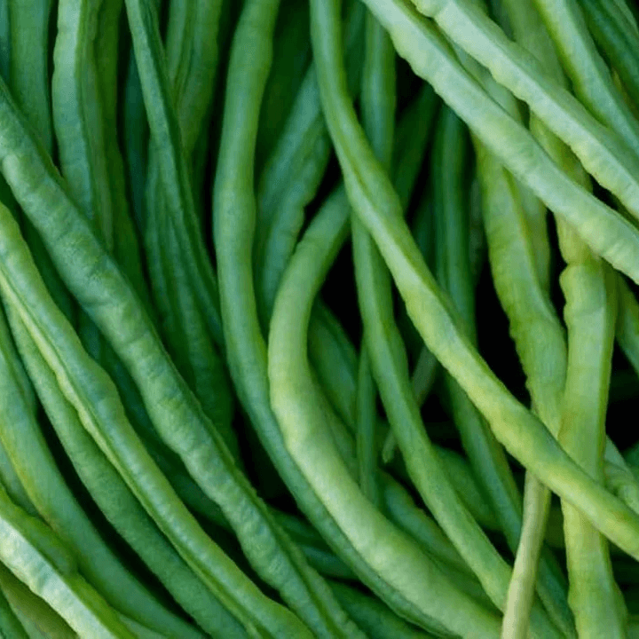 Asparagus Bean Seeds – Cowpea