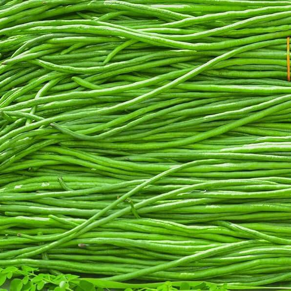 Asparagus Bean Seeds – Green