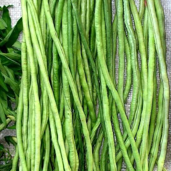Asparagus Bean Seeds – Cowpea
