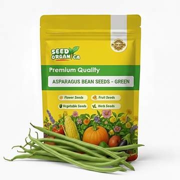 Asparagus Bean Seeds – Green