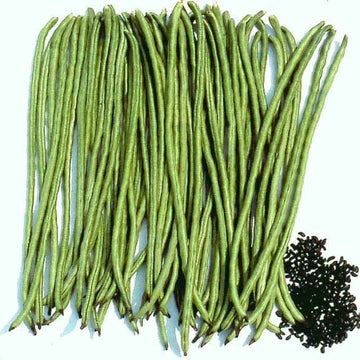 Asparagus Bean Seeds – Green