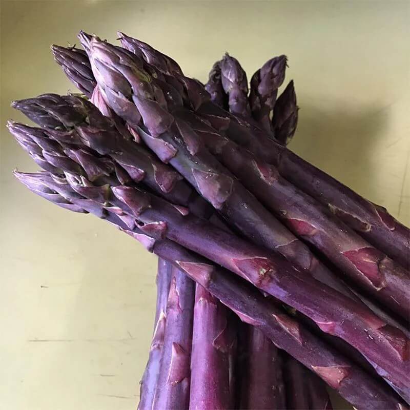 Asparagus Seeds - Purple