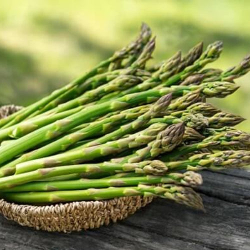 Asparagus Seeds - All In One For Home Gardens