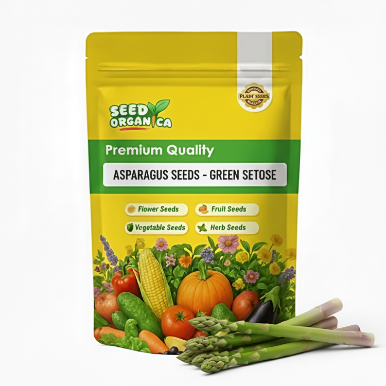Asparagus Seeds - Green Setose
