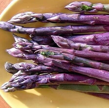 Asparagus Seeds - Purple