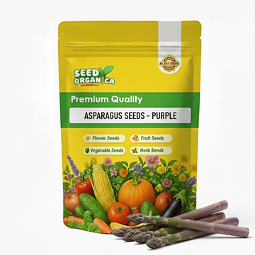 Asparagus Seeds - Purple