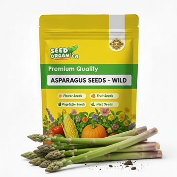 Asparagus Seeds – Wild
