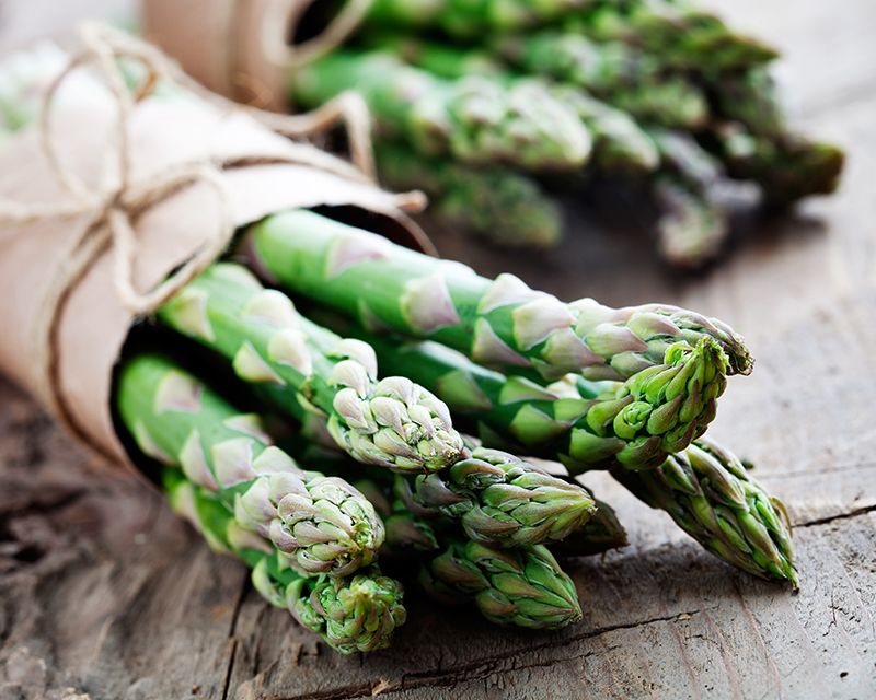 Asparagus Seeds – Wild
