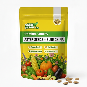 Aster Seeds – Blue China