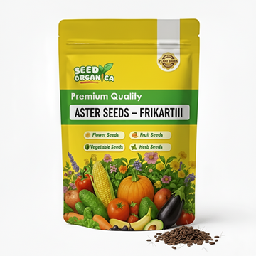Aster Seeds – Frikartii