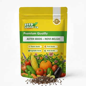 Aster Seeds – Novi-Belgii