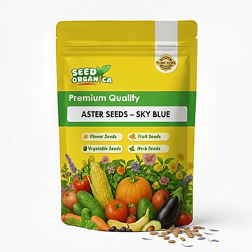 Aster Seeds – Sky Blue