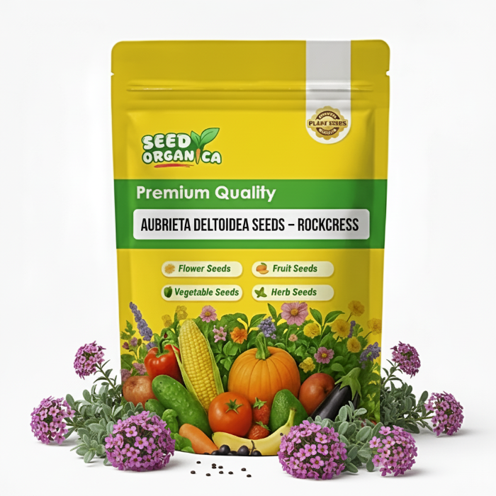 Aubrieta Deltoidea Seeds – Rockcress