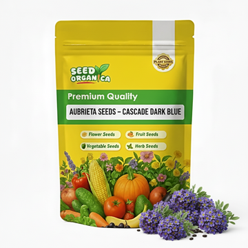 Aubrieta Seeds – Cascade Dark Blue