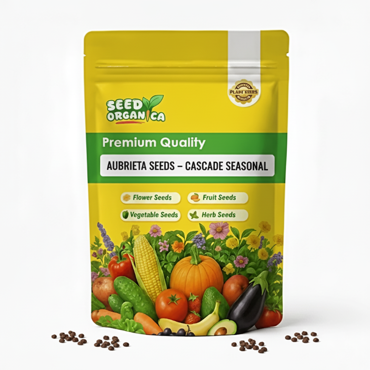 Aubrieta Seeds – Cascade Seasonal