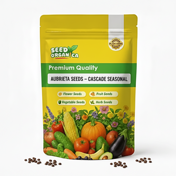 Aubrieta Seeds – Cascade Seasonal