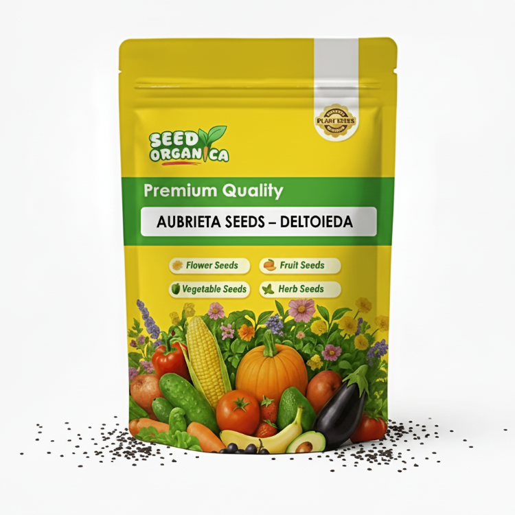 Aubrieta Seeds – Deltoidea