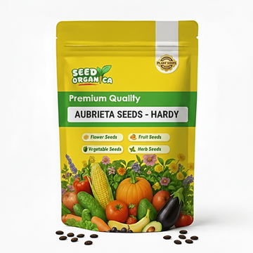 Aubrieta Seeds – Hardy