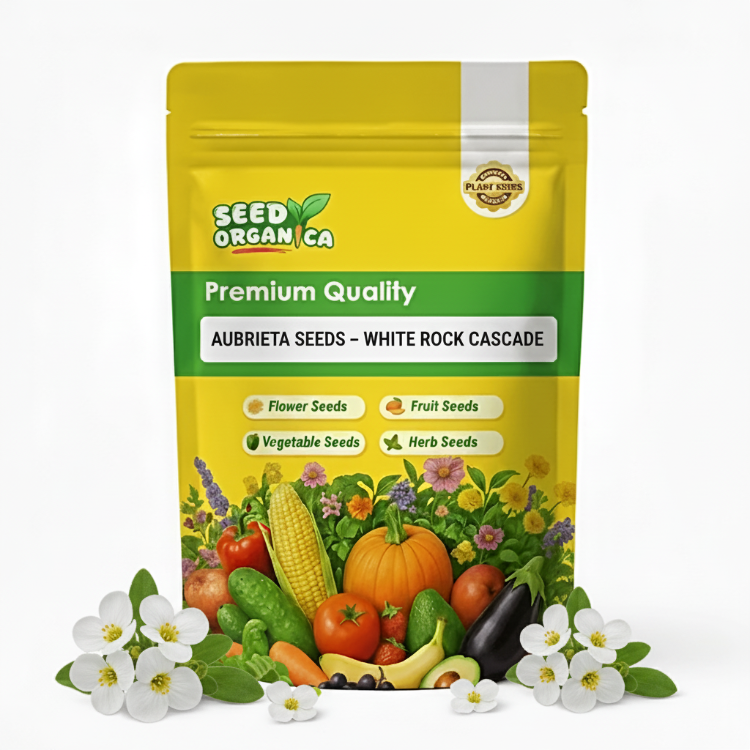 Aubrieta Seeds – White Rock Cascade