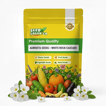 Aubrieta Seeds – White Rock Cascade