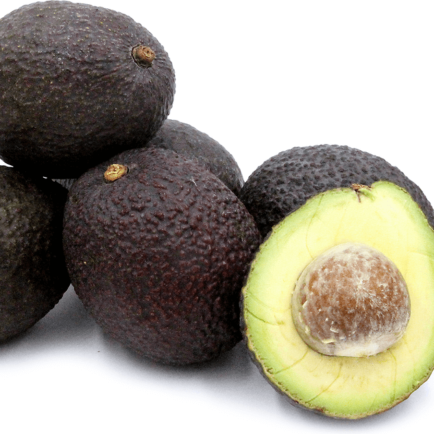  Avocado Seeds - Carmen Hass