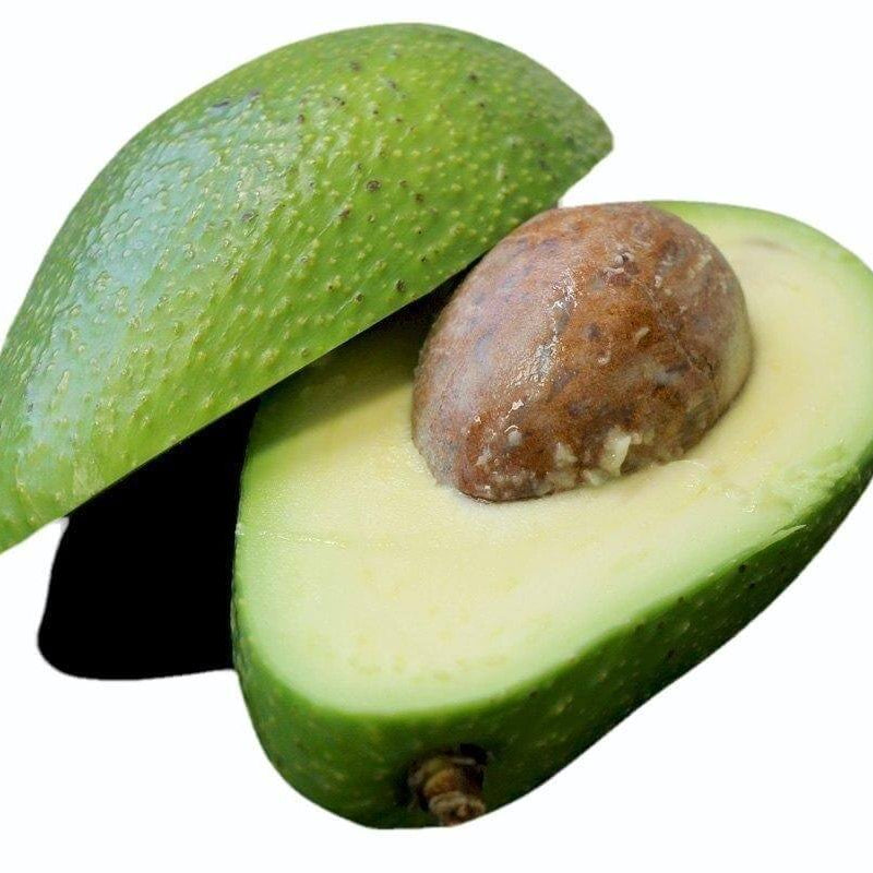 Avocado Seeds - Persea americana