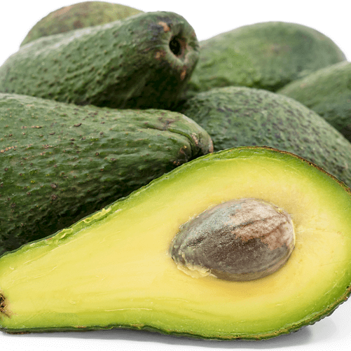 Avocado Seeds - Pinkerton