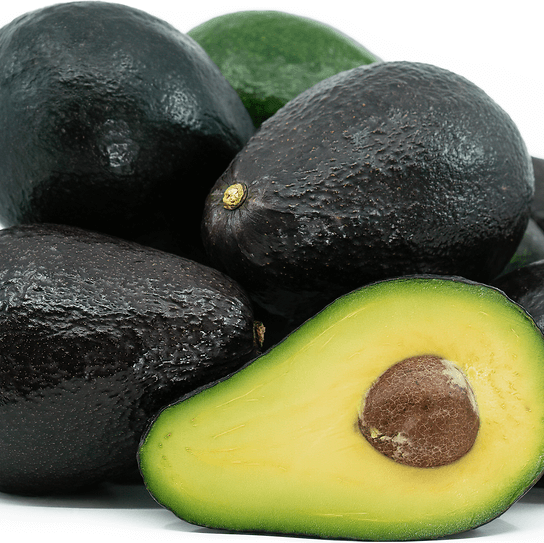 Avocado Seeds - Sir Prize