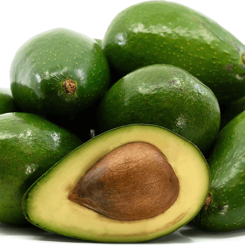 Avocado Seeds - Zutano