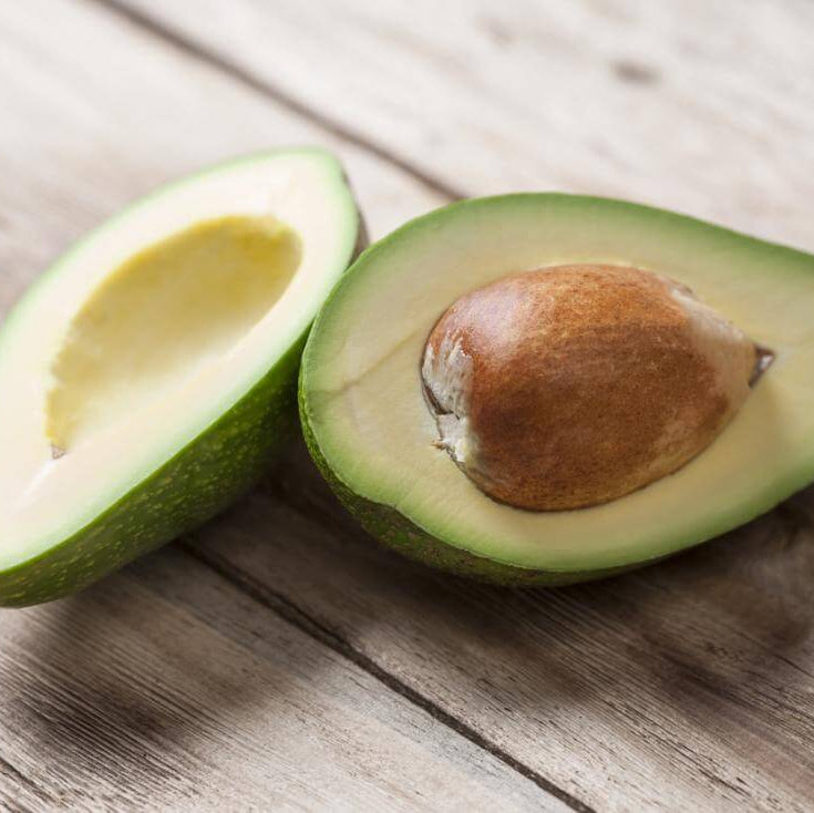 Avocado Seeds – Planting