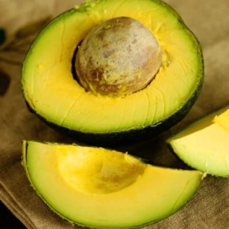 Avocado Seeds - Reed