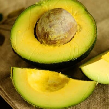 Avocado Seeds - Reed