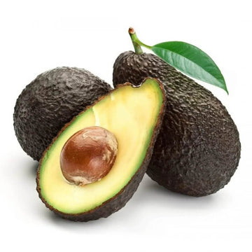 Avocado Seeds - Brown