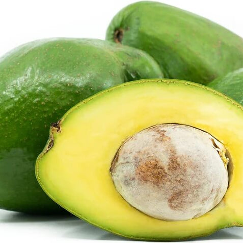 Avocado Seeds - Choquette