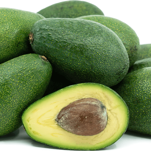 Avocado Seeds - Fuerte