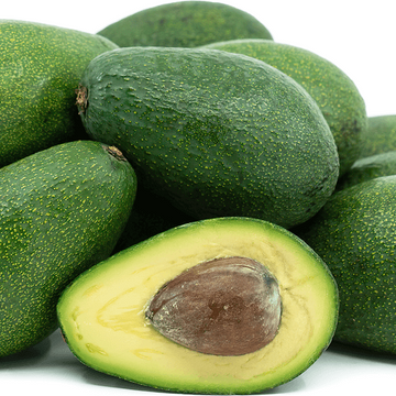 Avocado Seeds - Fuerte