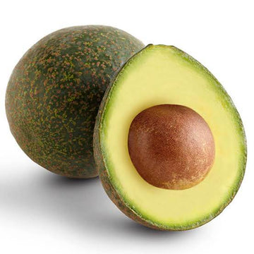 Avocado Seeds - Reed