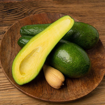 Avocado Seeds - Russell