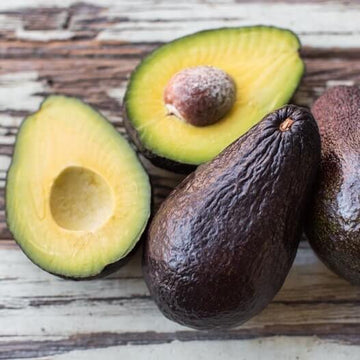 Avocado Seeds - Sir Prize