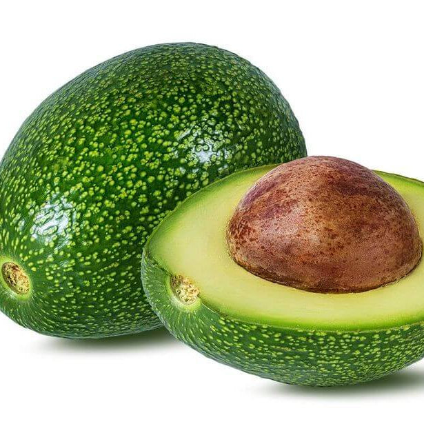 Avocado Seeds -  Wurtz Littlecado