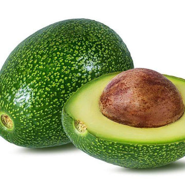 Avocado Seeds -  Wurtz Littlecado