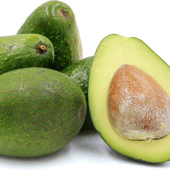 Avocado Seeds - Zutano