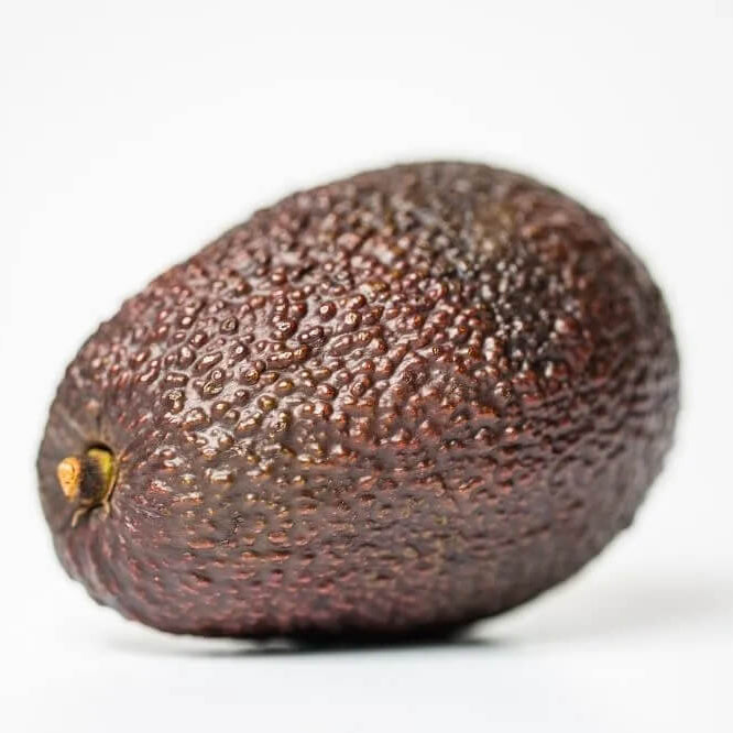 Avocado Seeds - Brown